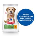 Hill's Science Plan Youthful Vitality Adult Small & Mini Pollo pienso para perros, , large image number null